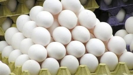 اعرف الطبق بكام.. أسعار البيض اليوم 14 أبريل 2026