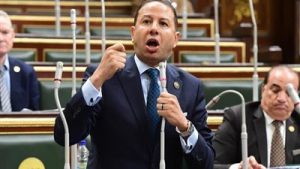 برلماني: موازنة العام الجديد تضع الاقتصاد أمام اختبار التوازن بين الإيرادات