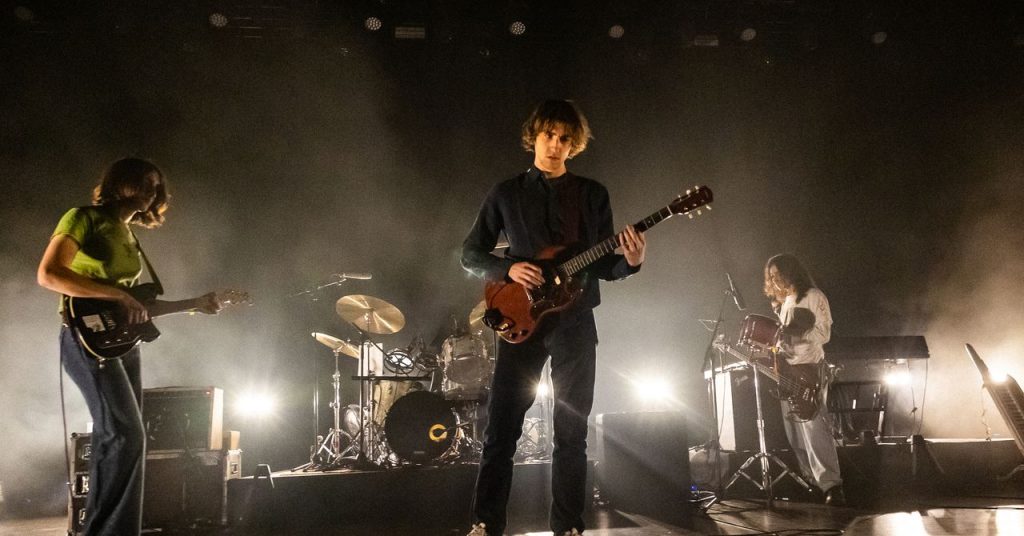 الضجة حول الإوز كانت في الواقع مجرد عملية نفسية