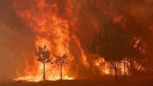 يقول سانشيز إن إسبانيا ستطلق أكبر حملة لحرائق الغابات بعد خسائر قياسية العام الماضي
