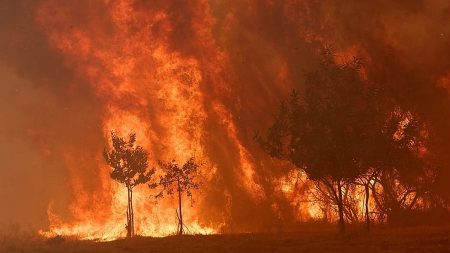 يقول سانشيز إن إسبانيا ستطلق أكبر حملة لحرائق الغابات بعد خسائر قياسية العام الماضي