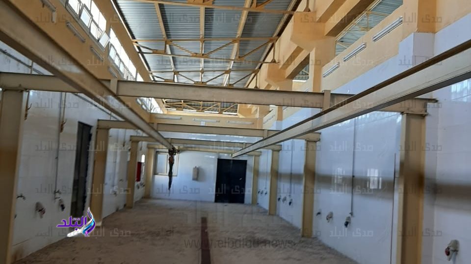 بيطري قنا: حملات مكثفة للتفتيش على اللحوم ووقف الراحات طوال فترة عيد الأضحى المبارك