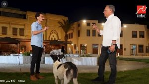 عامل أمان.. خبير سلوك حيواني يكشف الجانب الايجابي لكلاب الشوارع