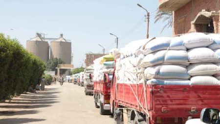 في بني سويف.. استلام أكثر من 247 ألف طن قمح محلي بالصوامع والشون منذ بداية الموسم