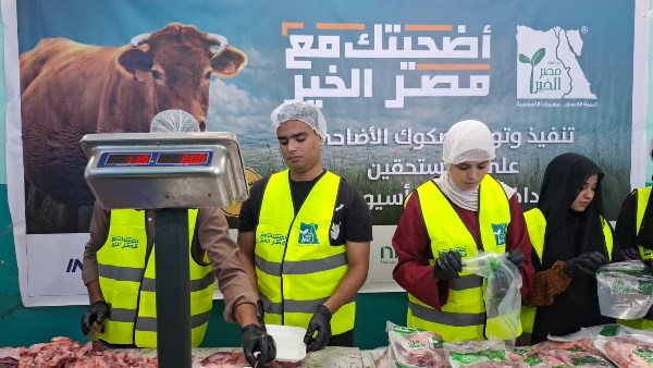 محافظ أسيوط: نحر وتوزيع لحوم 42 عجلًا في أول أيام عيد الأضحى بالتعاون مع مصر الخير والتضامن محافظ أسيوط: نحر وتوزيع لحوم 42 عجلًا في أول أيام عيد الأضحى بالتعاون مع مصر الخير والتضامن