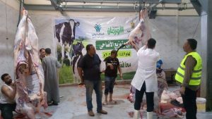 محافظ أسيوط: نحر 327 رأس ماشية بالمجازر الحكومية في ثاني أيام العيد.. ومتابعة مستمرة لضمان غذاء آمن وحماية الصحة العامة
