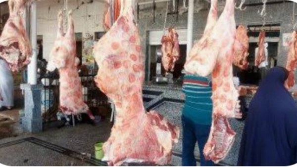 بمناسبة عيد الأضحى.. الوادي الجديد ترفع درجة الاستعداد وتجهز 14 مجزرًا لاستقبال الأضاحي مجانًا