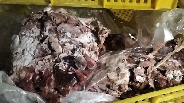 ضبط 3 أطنان لحوم ودواجن فاسدة قبل طرحها بأسواق بورسعيد ضبط 3 أطنان لحوم ودواجن فاسدة قبل طرحها بأسواق بورسعيد