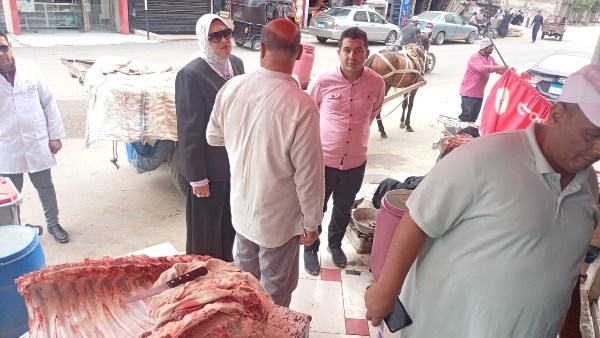 صحة الشرقية: تكثيف الرقابة على المجازر وحمامات السباحة ومصادر المياه