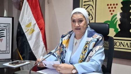 «القومي للطفولة والأمومة» يستعرض جهوده وخططه المستقبلية لتعزيز حماية الأطفال ودعم الأسر المصرية