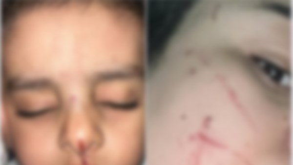الداخلية تكشف تفاصيل تعدي سيدة على جارتها بـ طنطا
