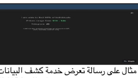 تقرير دولي يُحذّر من تصاعد المُلاحقة الإلكترونية وكشف البيانات الشخصية دون إذن