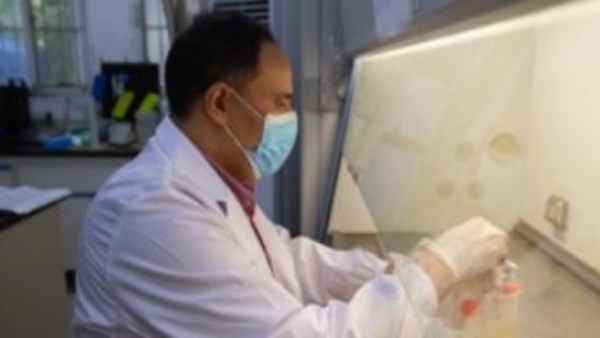 من جامعة طنطا إلى الصين.. عالم مصري يحقق إنجازات دولية في الطاقة الحيوية من جامعة طنطا إلى الصين.. عالم مصري يحقق إنجازات دولية في الطاقة الحيوية