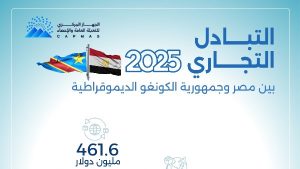 الإحصاء: 461.6 مليون دولار قيمة التبادل التجاري بين مصر والكونغو الديمقراطية خلال 2025