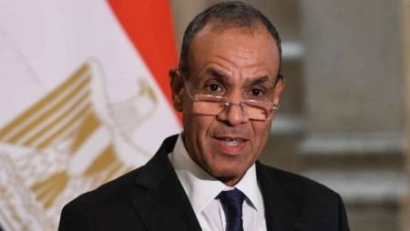 وزير الخارجية: العلاقات بين مصر وإريتريا متميزة