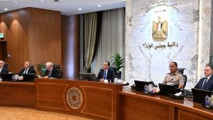تحويل الهيئة العامة للتحكيم واختبارات القطن لهيئة خدمية عامة