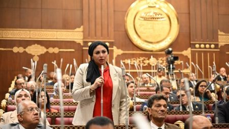 نائبة بالشيوخ: الاستثمار في الإنسان والرقابة على الأسعار أساس نجاح خطة التنمية