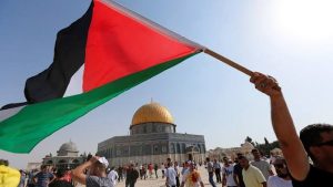 فاتن عبد المعبود: موقف مصر ثابت ورافض لتهجير الفلسطينيين منذ بداية الأزمة