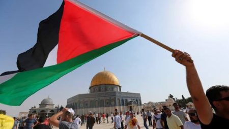 فاتن عبد المعبود: موقف مصر ثابت ورافض لتهجير الفلسطينيين منذ بداية الأزمة
