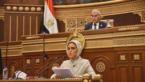 سحر نصر أمام جلسة الشيوخ: لا بد من إفساح المجال أمام القطاع الخاص في ملف الاستثمار