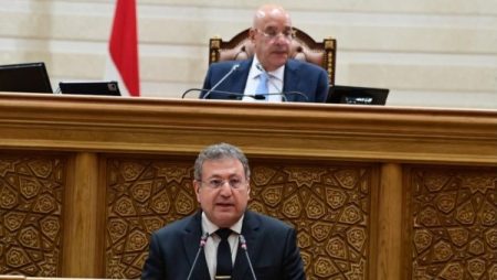 برلمانية: اتفاقية التجارة التفضيلية تمنح مصر مزايا جمركية وتفتح أسواقًا جديدة أمام الدواء والأسمدة