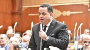 عضو بالشيوخ: دراسة الأثر التشريعي لقانون الشركات من أقوى الدراسات المقدمة للبرلمان