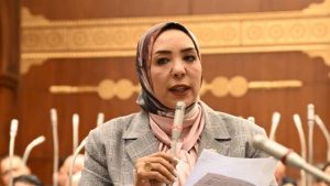 برلمانية: تعميق الصناعة ضرورة استراتيجية لتعزيز الإنتاج وتقليل الواردات