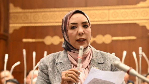 برلمانية: تعميق الصناعة ضرورة استراتيجية لتعزيز الإنتاج وتقليل الواردات