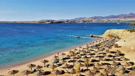 وجهة عالمية متكاملة.. الصحف الأيرلندية تسلط الضوء على تنوع المقصد السياحي المصري