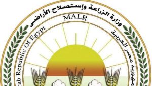 الزراعة : إنتاج 3700 طن من منتجات التدوير بالمجازر خلال مايو