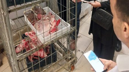 ضبط 3762 مخالفة تموينية خلال شهر ومصادرة نحو 151 طنًا من السلع منتهية الصلاحية بالجيزة