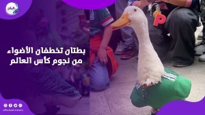 بط المونديال .. بطتان تخطفان الأضواء من نجوم كأس العالم 2026