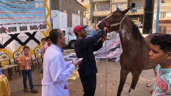 محافظ الدقهلية يتفقد القافلة الطبية البيطرية المجانية بقرية نشا