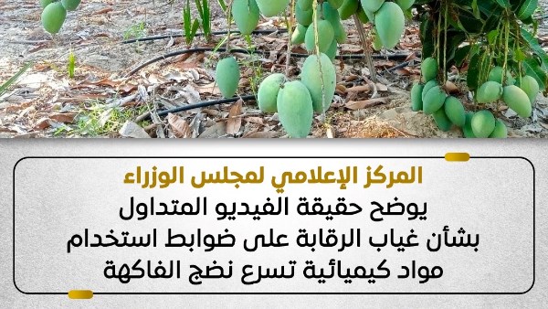 حقيقة الفيديو المتداول بشأن غياب الرقابة على ضوابط استخدام مواد كيميائية تسرع نضج الفاكهة