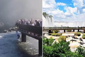 رجل جاهل يقفز في المياه السريعة بالقرب من الشلال للحصول على الهاتف الخليوي