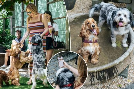 يتعرف تطبيق Dog Date Afternoon على الأصدقاء الجدد ذوي الفراء – ويجبر المالكين على الخروج من فقاعاتهم: “لقد كان الأمر ممتعًا بالنسبة لي أيضًا”