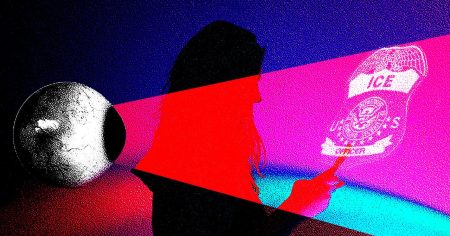 تقوم هيئة المراقبة الداخلية التابعة لشركة ICE الآن بالتحقيق مع منتقدي الإنترنت