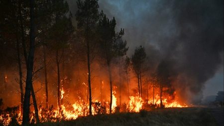 تم إجلاء الآلاف مع زحف الحرائق نحو بوردو بينما تسعى السلطات لمكافحة النيران بالقرب من مدريد