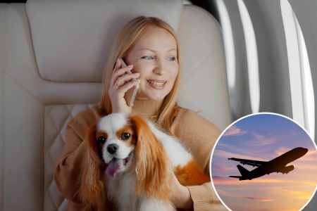 يمكن لشركات الطيران حظر المكالمات الهاتفية على الرحلات الجوية بموجب مشروع قانون “سلامة الركاب”.