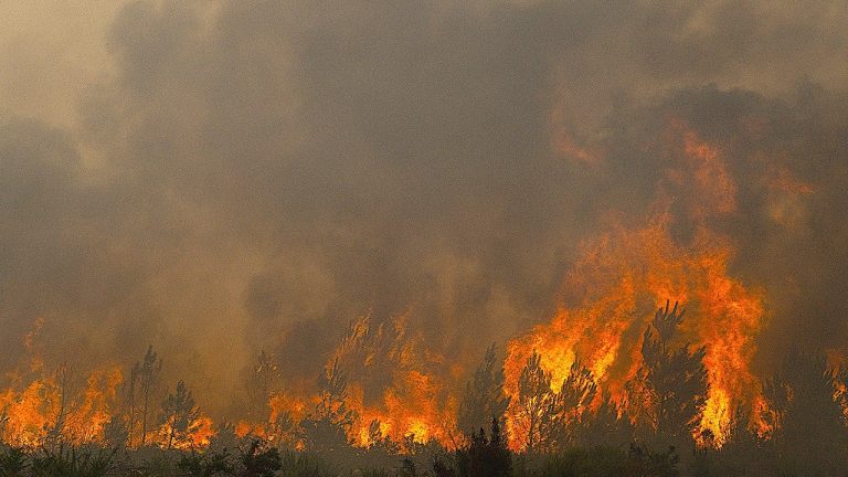 حرائق الغابات في فرنسا تهدد المواقع النووية والدفاعية بالقرب من بوردو