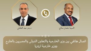 مصر وإريتريا تؤكدان تعزيز التعاون بشأن أمن البحر الأحمر والقرن الأفريقي