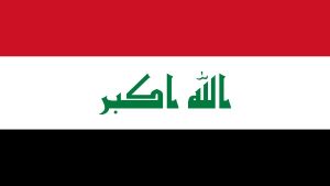 القوات المسلحة العراقية: تنظيم السلاح يهدف إلى حماية أمن العراقيين