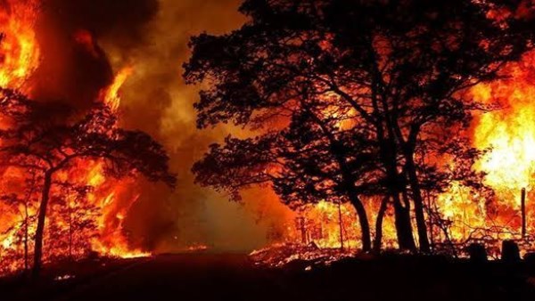 رئيس وزراء فرنسا يدعو لاجتماع طارئ لبحث أزمة حرائق الغابات