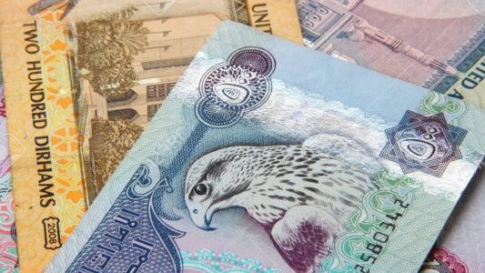 الدرهم الإماراتي