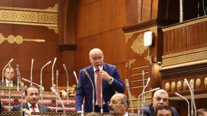 برلماني: منصات التواصل الاجتماعي سلاح ذو حدين ويجب التصدي لاستخداماتها السلبية