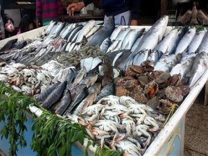 أسعار السمك والجمبري بسوق العبور اليوم الأربعاء