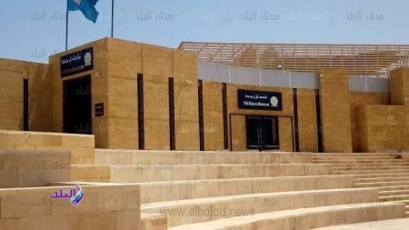 متحف تل بسطا يطلق أولى فعاليات برنامجه الصيفي ..الثلاثاء