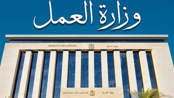 الفرصة بين يديك.. دليل وظائف وزارة العمل 2026 (الشروط والأوراق المطلوبة)