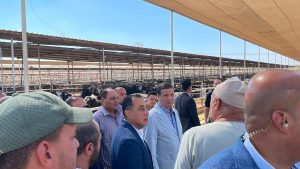 مدبولي: الأمن الغذائي وتطوير الريف في صدارة أولويات الدولة الاستراتيجية