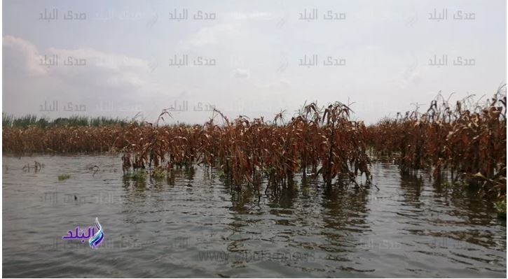 لتفادي ارتفاع المياه.. محافظ قنا يوجه بإزالة تعديات أراضي طرح النهر لتفادي ارتفاع المياه.. محافظ قنا يوجه بإزالة تعديات أراضي طرح النهر
